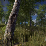 Screenshot #1 - Scanned Birch Wood