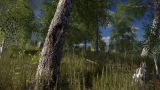 Screenshot #1 - Scanned Birch Wood