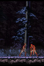 Screenshot #12 - Chronicles of the Wolf