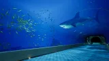 Screenshot #1 - Aquarium at August 32nd