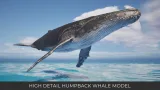Screenshot #2 - Animated Humpback Whale (UE5.3+)