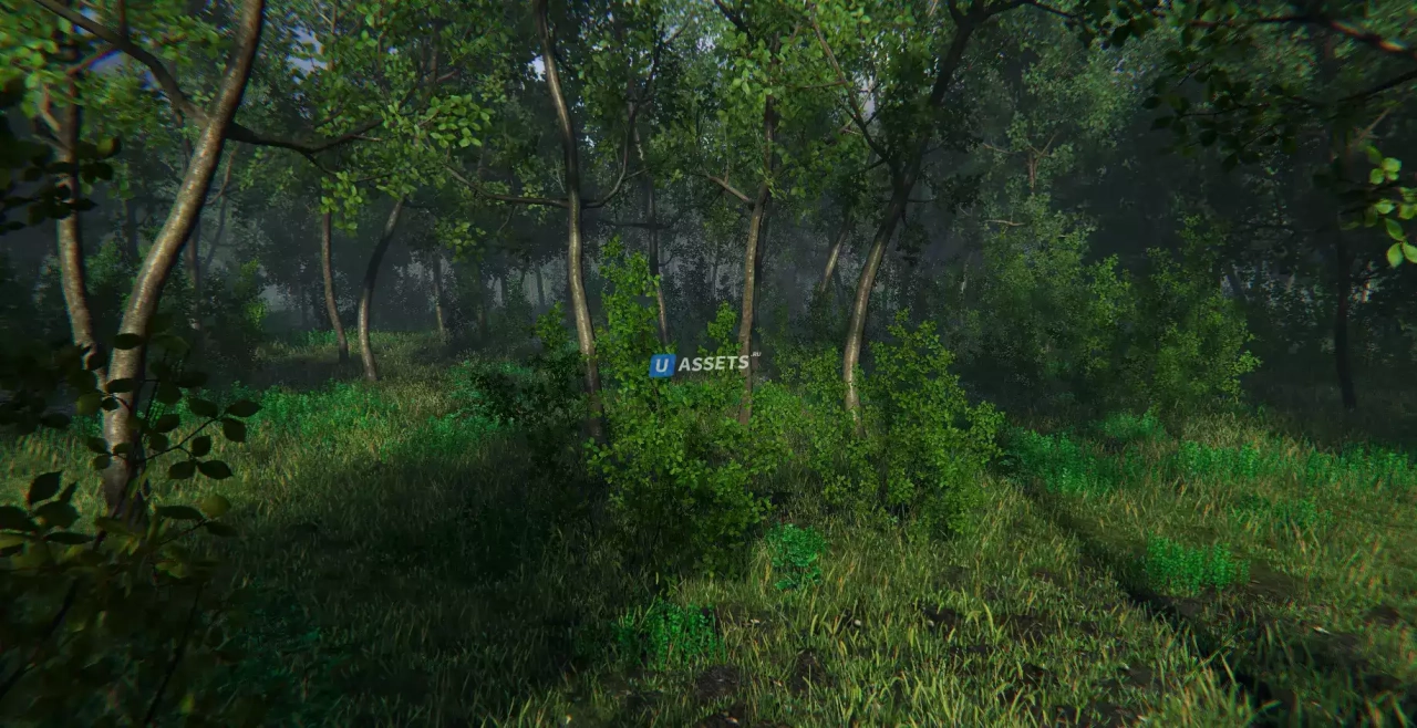 Screenshot #4 - Nature Package - Swamp Forest Environment