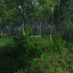 Screenshot #4 - Nature Package - Swamp Forest Environment