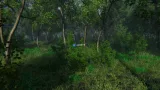 Screenshot #4 - Nature Package - Swamp Forest Environment