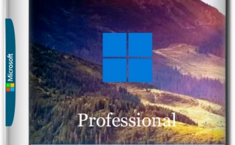 Windows 10 Optima Pro 22H2 19045.5608 x64