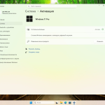 Screenshot #11 - Windows 11 Pro 25H2 Build 26200.5722 Dev