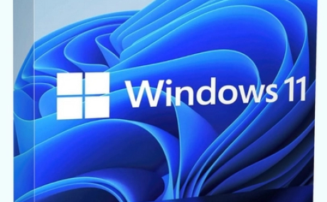 Windows 11 Pro 23H2 Build 22631.2715 Full November 2023