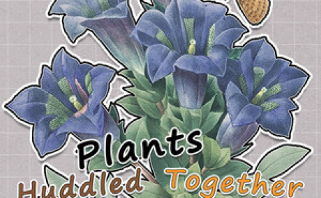 Plants Huddled Together