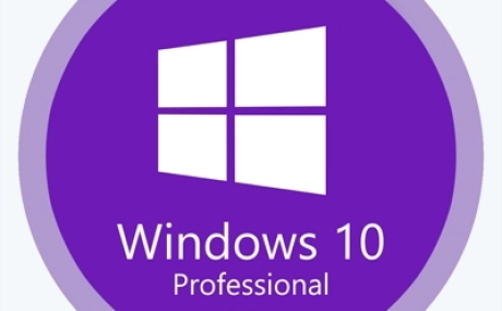 Windows 10 Pro 22H2 19045.2130 x64 by SanLex [Universal]
