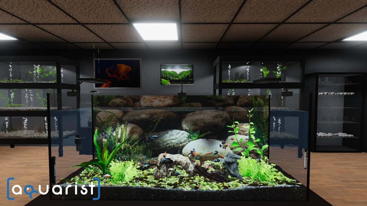 Screenshot #1 - Aquarist