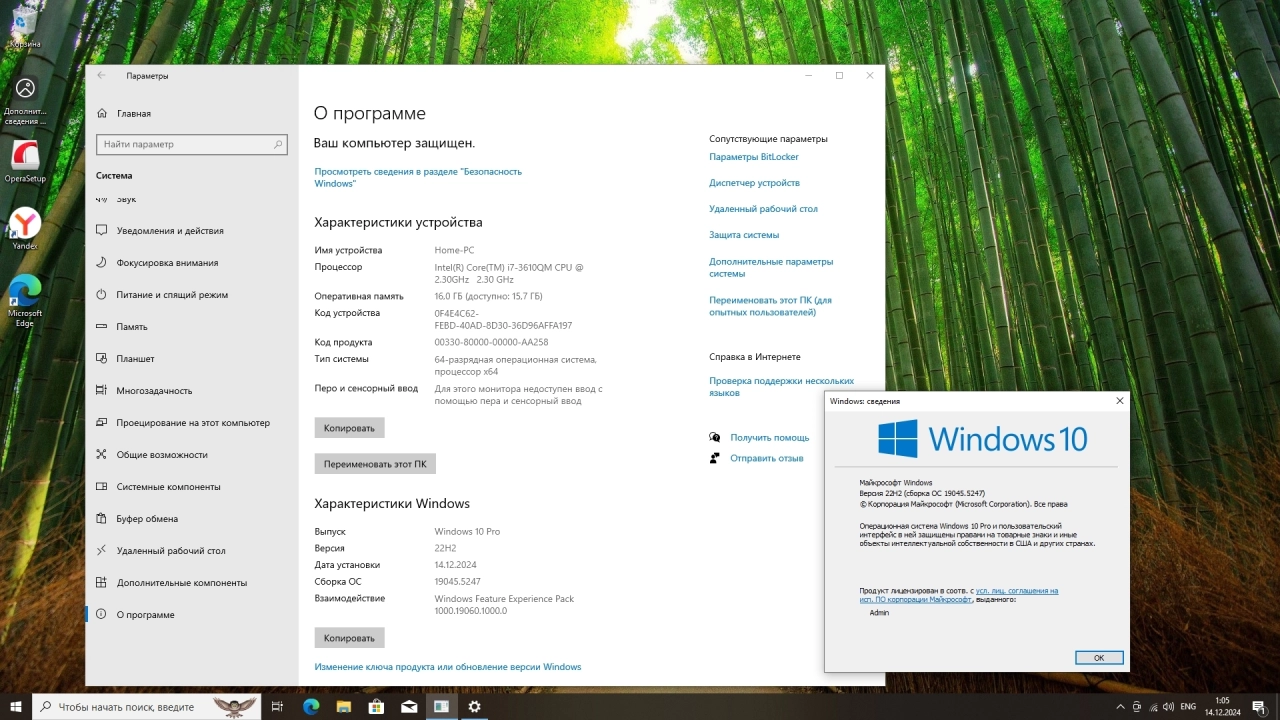 Screenshot #3 - Windows 10 Pro 22H2 Build 19045.5247 Full Декабрь 2024