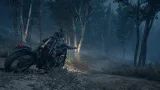 Screenshot #9 - Days Gone
