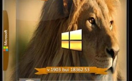 Windows 10.18362.53 v1903 22in1 IZUAL 20.04.19 Store (esd)