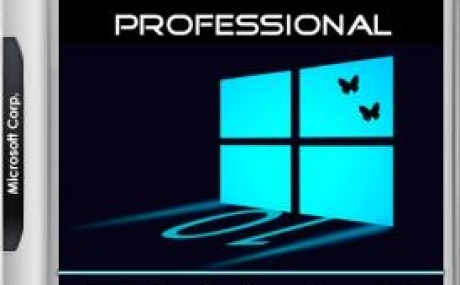 Windows 10 Pro 1709 x86/x64 by kuloymin v12.4 (ESD)