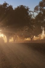 Screenshot #10 - Tank Mechanic Simulator