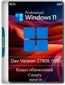 Windows 11 Pro Insider Preview Build 27909.1000 Canary