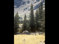 Screenshot #6 - Alpine Landscape v5.3+