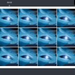 Screenshot #2 - ПАРА КАРТИНОК ХОББИТОК 0.0.1