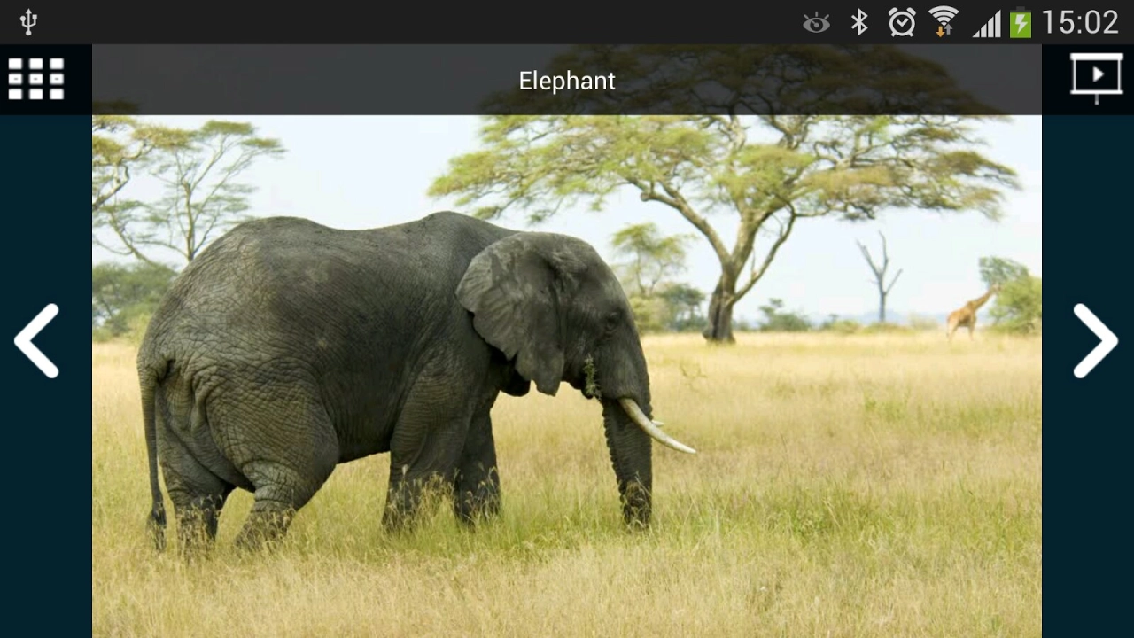 Screenshot #7 - EMIT FREE 9.2.0