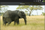 Screenshot #7 - EMIT FREE 9.2.0