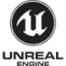 Unreal Engine 5 (UE5) windows