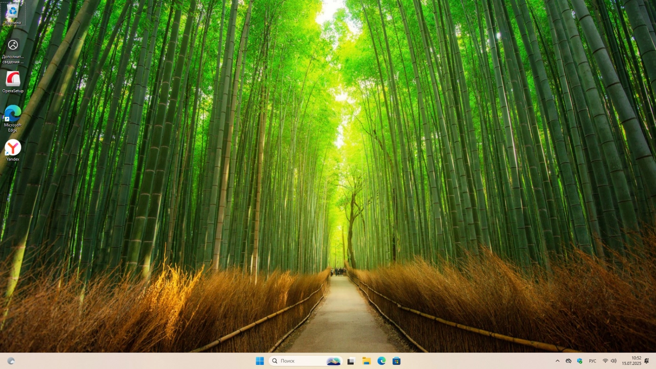 Screenshot #4 - Windows 11 Pro 25H2 Build 26200.5702 Dev