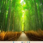 Screenshot #4 - Windows 11 Pro 25H2 Build 26200.5702 Dev