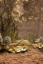 Screenshot #5 - Morels: The Hunt