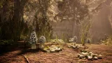 Screenshot #5 - Morels: The Hunt