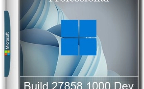 Windows 11 Pro by OneSmiLe Dev build 27858.1000