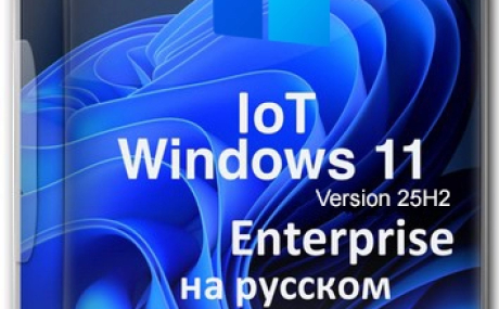 Windows 11 Lite IoT Enterprise 25H2 Build 26200.6899