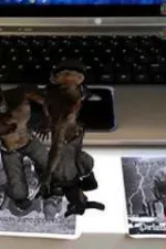 Screenshot #1 - BEER MAT FIGHTING AR 1.0