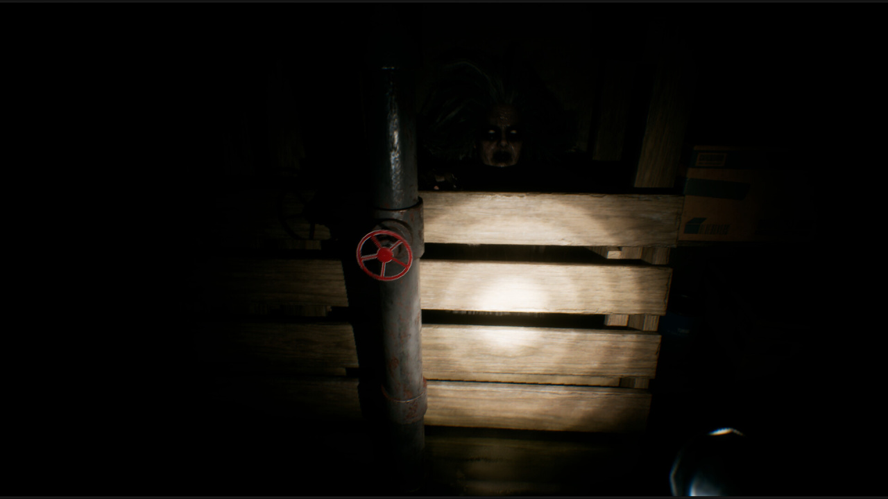 Screenshot #8 - House of Lost Souls
