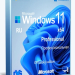 Windows 11 Pro VL x64 23H2 Русская by OVGorskiy 03.2024