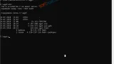 Screenshot #4 - Wget