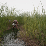 Screenshot #1 - Nanite Tall Grass Vol.1 UE5