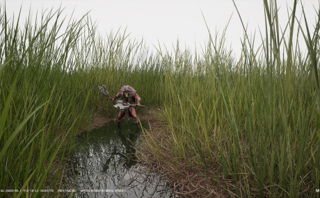 Nanite Tall Grass Vol.1 UE5