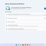 Screenshot #3 - Windows 11 Русская Pro VL x64 24Н2 (build 26100.3775) by ivandubskoj