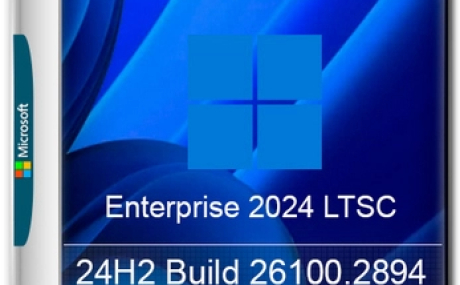 Windows 11 LTSC 24H2 Build 26100.2894 Full