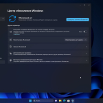 Screenshot #4 - Windows 11 Home Русская 22H2 22621.1702