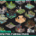 Low Poly Mega Pack - Polyworks