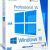 Windows 10 Pro VL x64 22H2 Русская by OVGorskiy 10.2025