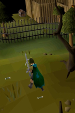 Screenshot #2 - Old School RuneScape