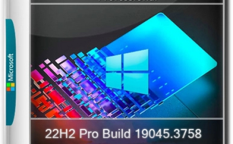 Windows 10 X-Lite x64 22H2 Pro Build 19045.3758 By FBConan