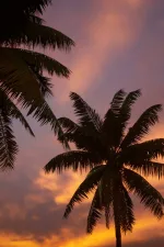 Screenshot #13 - Miami Vice City (Unreal Engine)