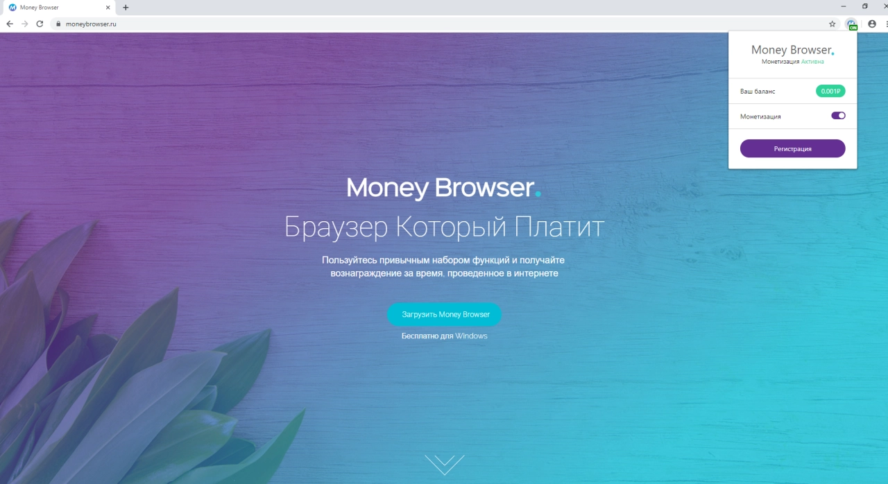 Screenshot #4 - Money Browser