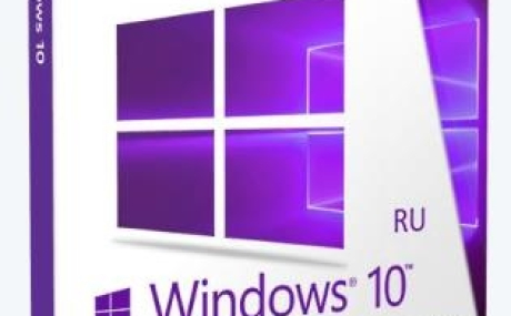 Windows® 10 Professional VL x86-x64 1809 RS5 RU by OVGorskiy® 02.2019 2DVD