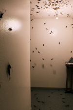 Screenshot #7 - August Night