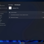 Screenshot #5 - Windows 11 Pro Русская 24H2 Build 26100.3194 Stable