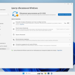 Screenshot #12 - Windows 11 Pro Lite +/- Windows Defender by Ankh Tech 10.2023